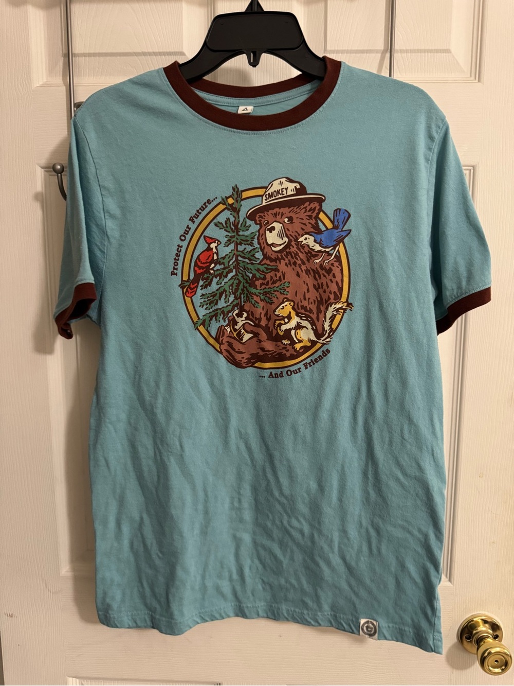 Landmark Smokey Bear Graphic Ringer Tee - Seaglass Blue with Brown Trim